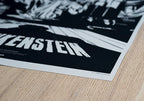 Frankenstein — Édition N&B